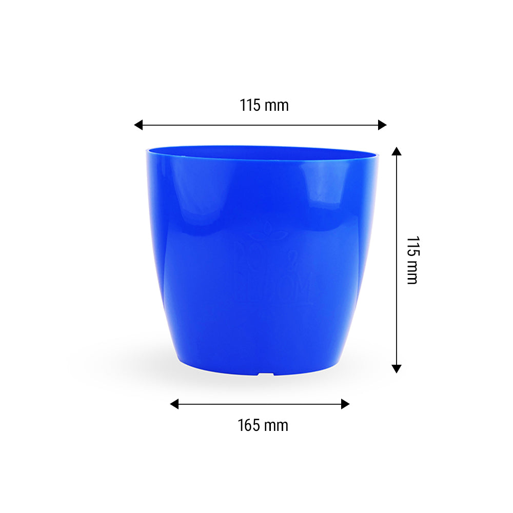 6-inch Pot and Plate set of 5