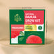 Treasures Dahlia Grow Kit