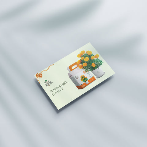 Gift Cards for Pot & Bloom