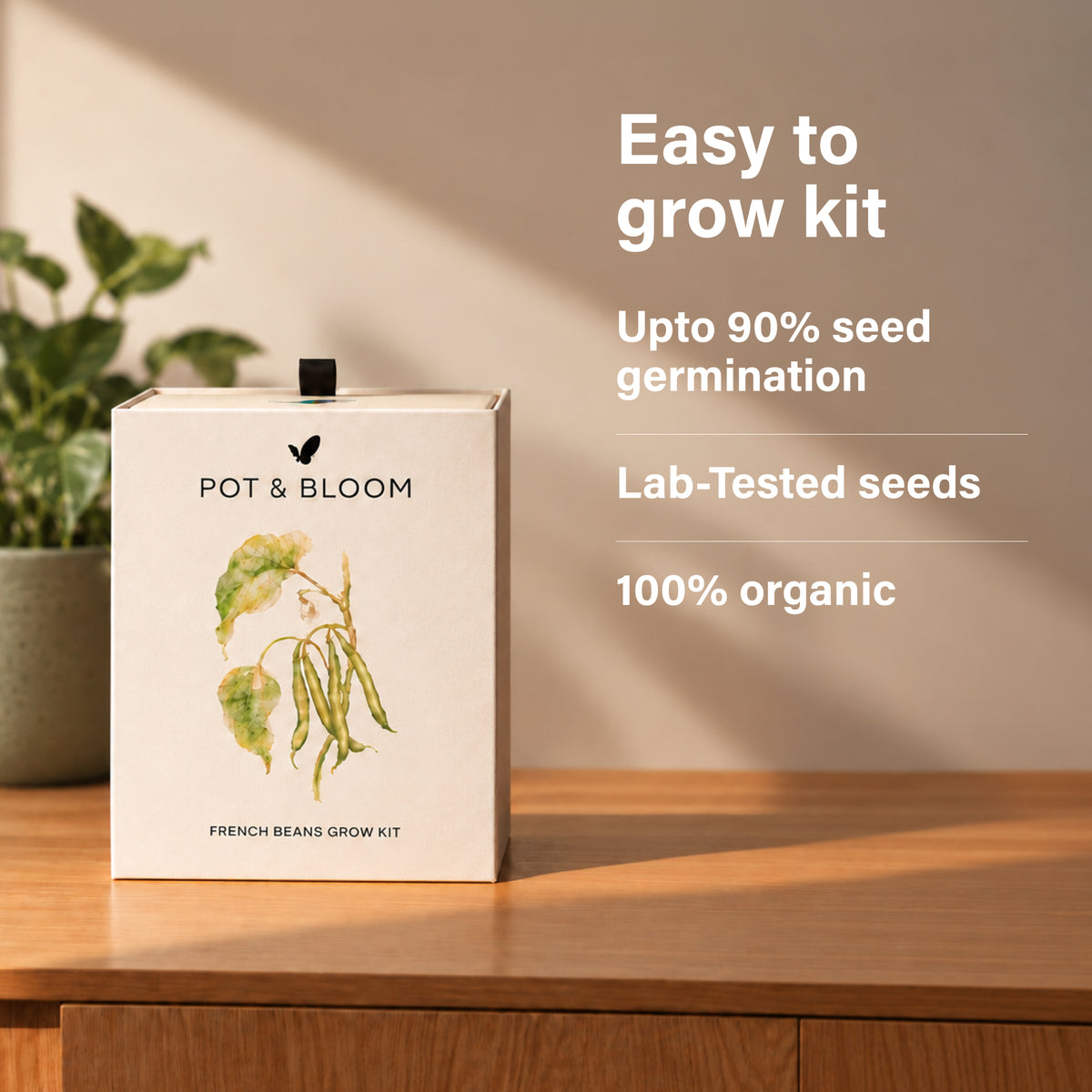 French Beans Grow Kit