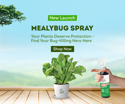 New Arrival Mealybug Spray