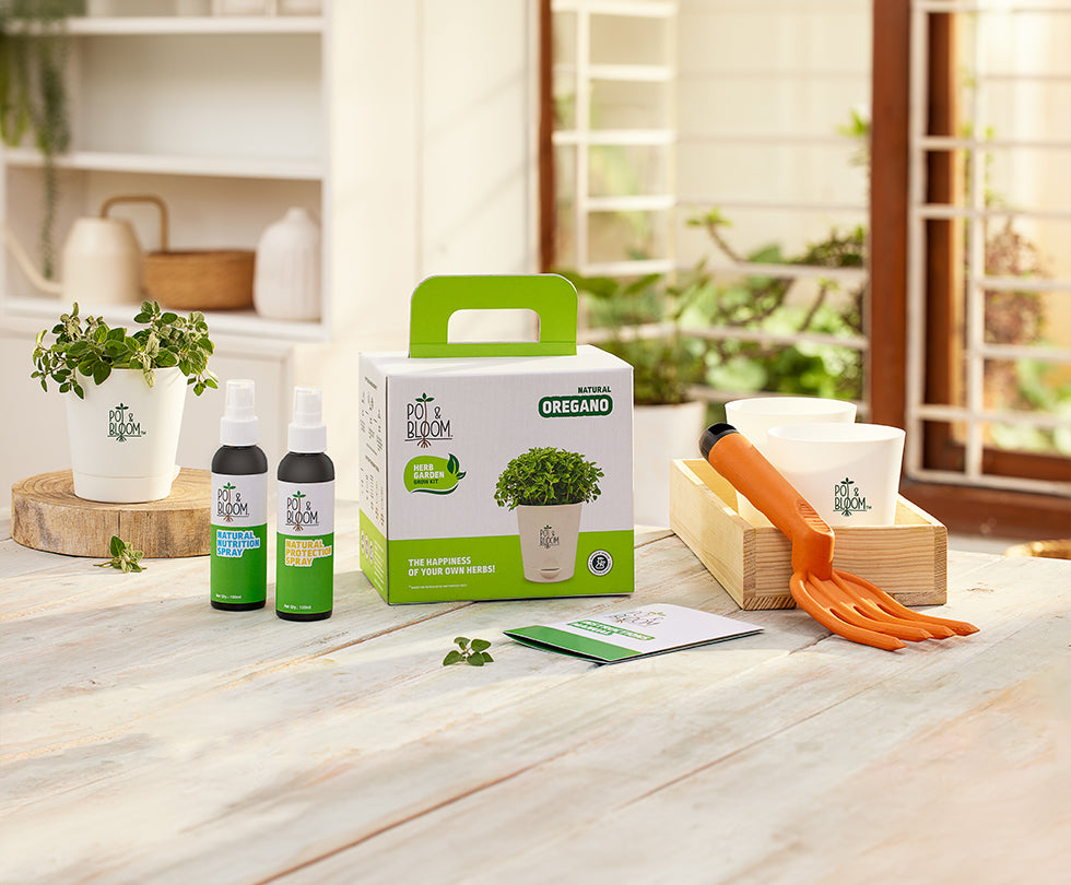 Dia Mirza x Pot and Bloom – Eco-Gifting Revolution with