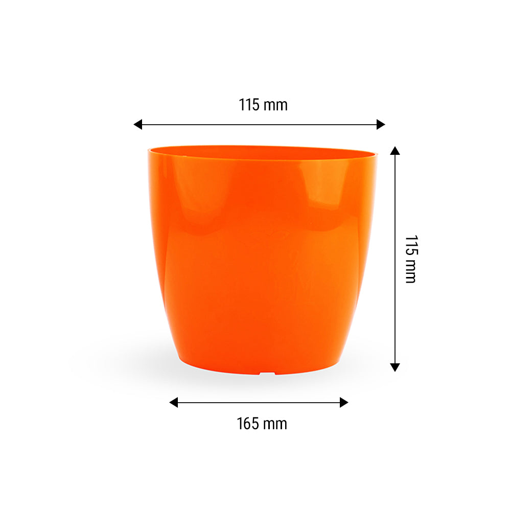 6-inch Pot and Plate set of 5