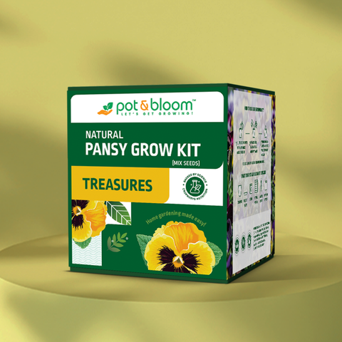 Treasures Pansy Grow Kit