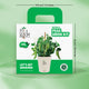Peas Grow Kit (Medium)