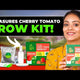 Treasures Cherry Tomato Kit