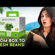 French Beans Grow Kit  (medium)