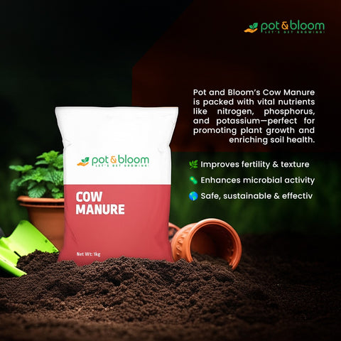 cow manure in potted plants Cow Manure 1 KG – Pot and Bloom