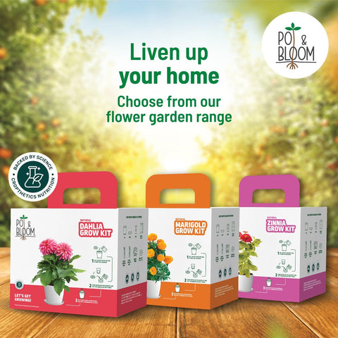 Gardening Kits: Complete gardening kit | Pot & Bloom