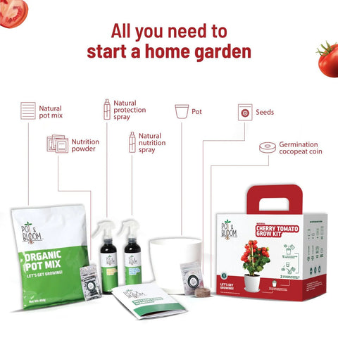 Home Garden Kits