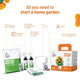 Marigold Grow Kit for home