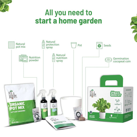 DIY Spinach Kit: Complete gardening kit | Pot & Bloom
