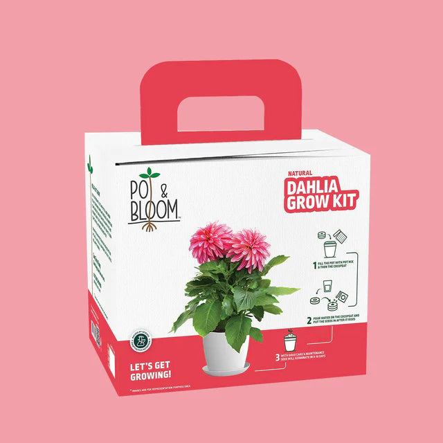 Flower Kits - Buy Flower Growing Kits Online at Pot and Bloom