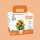 Marigold Grow Kit for home