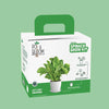 Spinach Grow Kit