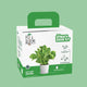 Spinach Kit a Complete gardening Kit | Pot & Bloom
