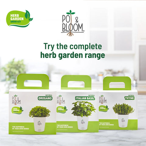 Herb plants online: Complete gardening kit  | Pot & Bloom