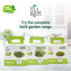Herb plants online: Complete gardening kit  | Pot & Bloom