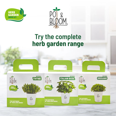 Herb plants online: Complete gardening kit  | Pot & Bloom