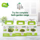 Herb plants online: Complete gardening kit  | Pot & Bloom