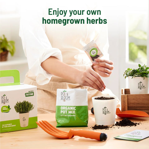 Online herb store: Complete gardening kit  | Pot & Bloom