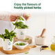 Online herb store: Complete gardening kit  | Pot & Bloom