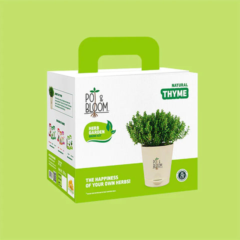 Thyme Kits